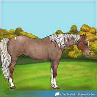 Horse Color:Gray Silver Blue Roan Pearl Tobiano 