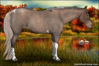 Horse Color:Gray Silver Blue Roan Pearl Tobiano 