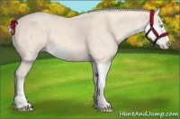 Horse Color:Perlino Sabino  and Perlino Sabino 