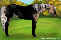 Horse Color:Void Silver Black Pearl Tobiano Frame