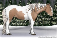 Horse Color:Silver Black Pearl Tobiano 
