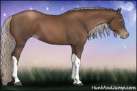 Horse Color:Gray Silver Black Pearl Tobiano