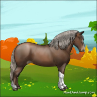 Horse Color:Gray Liver Chestnut Pearl Tobiano