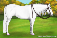Horse Color:Gray Silver Black Pearl Tobiano 