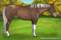 Horse Color:Gray Silver Black Pearl Tobiano 