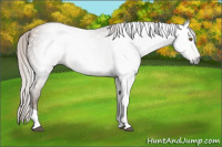 Horse Color:Gray Silver Black Pearl Tobiano 