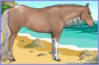 Horse Color:Silver Black Pearl Tobiano 