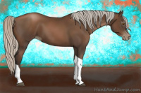 Horse Color:Gray Silver Black Pearl Tobiano Rabicano 