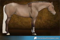 Horse Color:Gray Silver Brown Pearl Dun Tobiano 
