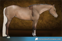 Horse Color:Gray Silver Brown Pearl Dun Tobiano