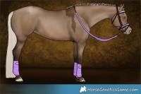Horse Color:Gray Silver Brown Pearl Dun Tobiano 