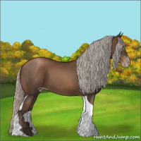 Horse Color:Gray Silver Black Pearl Tobiano 