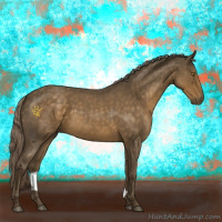 Horse Color:Chocolate Palomino Roan 