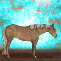 Horse Color:Chocolate Palomino Roan 