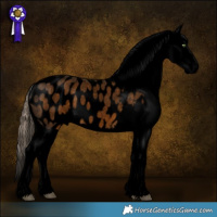 Horse Color:Void Chocolate Palomino Roan Blanket 
