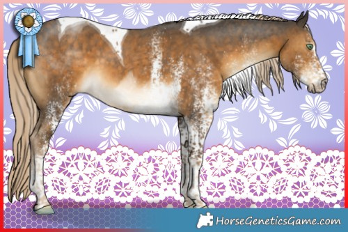 Horse Color:White Spotted Chocolate Palomino Mushroom Tobiano 