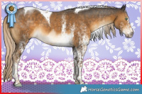 Horse Color:White Spotted Chocolate Palomino Mushroom Tobiano