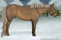 Horse Color:Chocolate Palomino Roan 