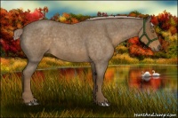 Horse Color:Chocolate Palomino Roan 