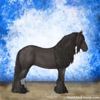 Horse Color:Smoky Blue Roan 