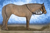 Horse Color:Chocolate Palomino Roan 