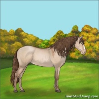 Horse Color:Brown Pearl Dun 