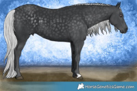 Horse Color:Silver Black Chinchilla 