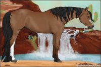 Horse Color:Gray Bay 