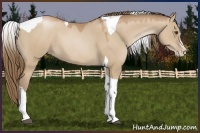 Horse Color:Grullo Pearl Splash Tobiano 