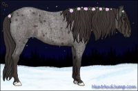 Horse Color:Smoky Blue Roan 