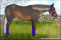 Horse Color:Silver Smoky Blue Roan