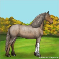 Horse Color:Chocolate Palomino Roan