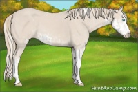 Horse Color:Smoky Creme Sabino  and Smoky Creme Sabino Splash 