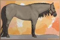 Horse Color:Smoky Grullo 