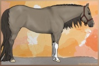 Horse Color:Smoky Grullo