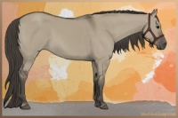 Horse Color:Smoky Grullo 