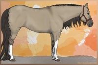 Horse Color:Smoky Grullo 