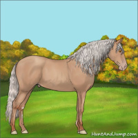 Horse Color:Silver Classic Champagne Frame 