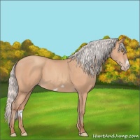 Horse Color:Silver Amber Champagne Frame 
