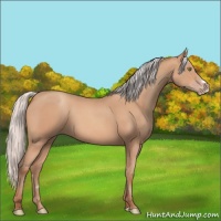 Horse Color:Silver Amber Champagne Frame 