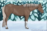 Horse Color:Silver Black 