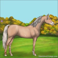 Horse Color:Silver Amber Champagne Frame 