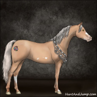 Horse Color:Silver Amber Champagne Frame 