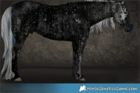 Horse Color:ERROR: UNKNOWN ANOMALY and ERROR: UNKNOWN ANOMALY