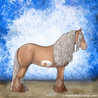 Horse Color:Silver Sable Champagne Frame