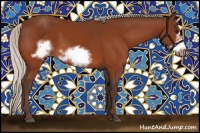 Horse Color:Silver Bay Frame