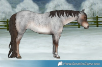 Horse Color:Liver Red Roan Tobiano 