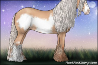 Horse Color:Silver Amber Champagne Frame 