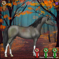 Horse Color:Grullo Brindle