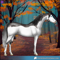 Horse Color:Brown Splash Frame Rabicano